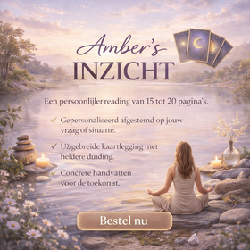 Amber's Inzicht