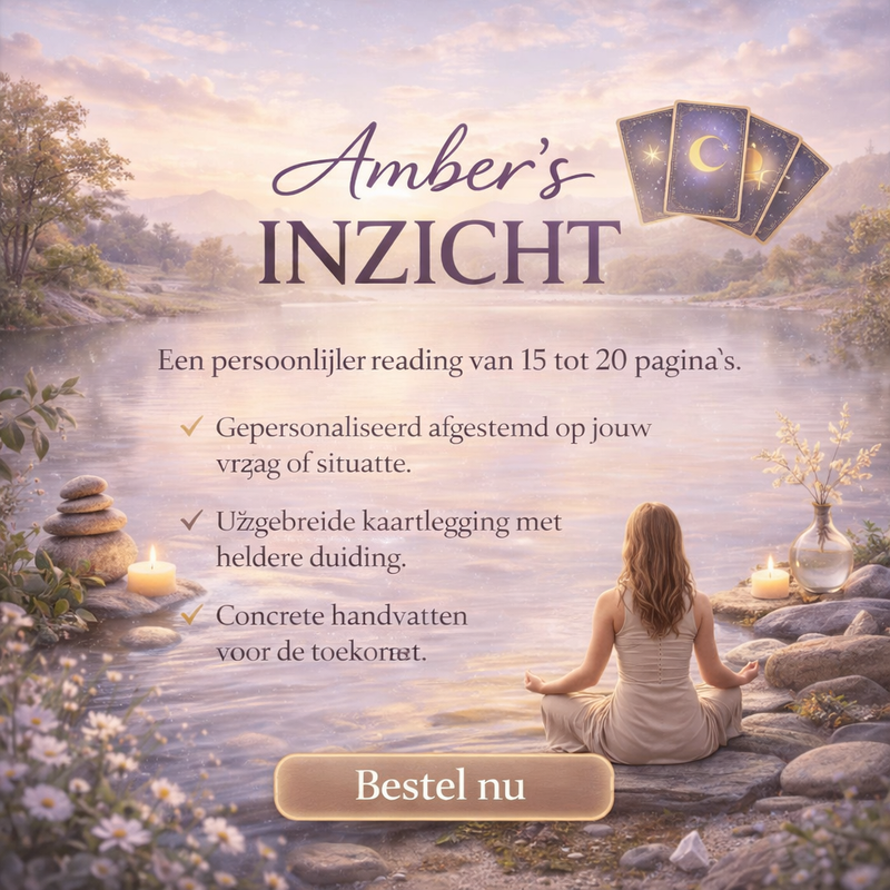 Amber's Inzicht