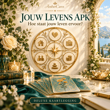 Jouw Levens APK – Hoe staat jouw leven ervoor?